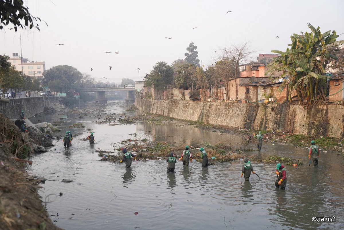 Bishnumati Sarsafai_-1018