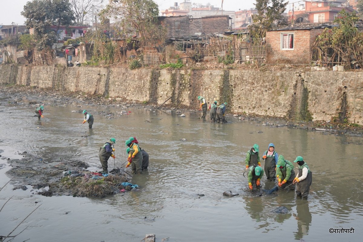 Bishnumati Sarsafai_-1022
