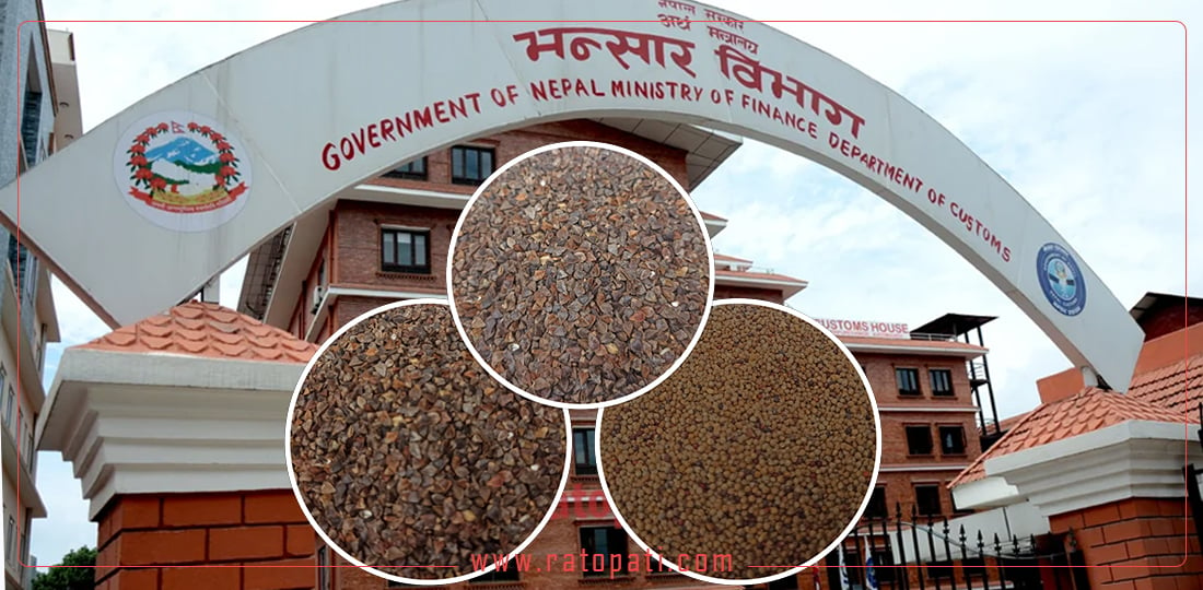 अन्तर्राष्ट्रिय बजारमा नेपाली रैथाने कृषि उपज, के–के हुन्छ निर्यात ?