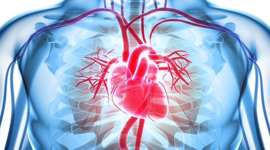Blue-Human-Chest-Diagram-with-Bright-Red-Heart-Causes-of-Heart-Failure-Graphic