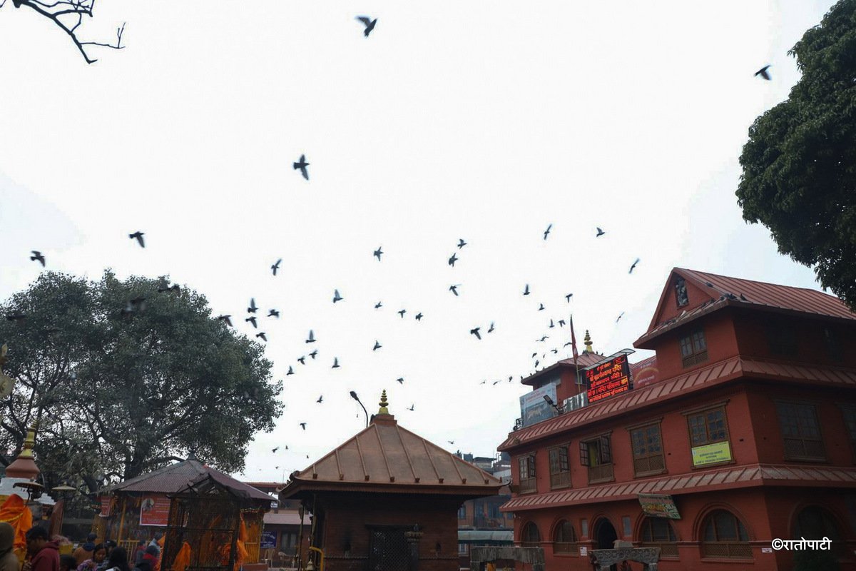 Budanilkantha mandir_Nepal Photo library15