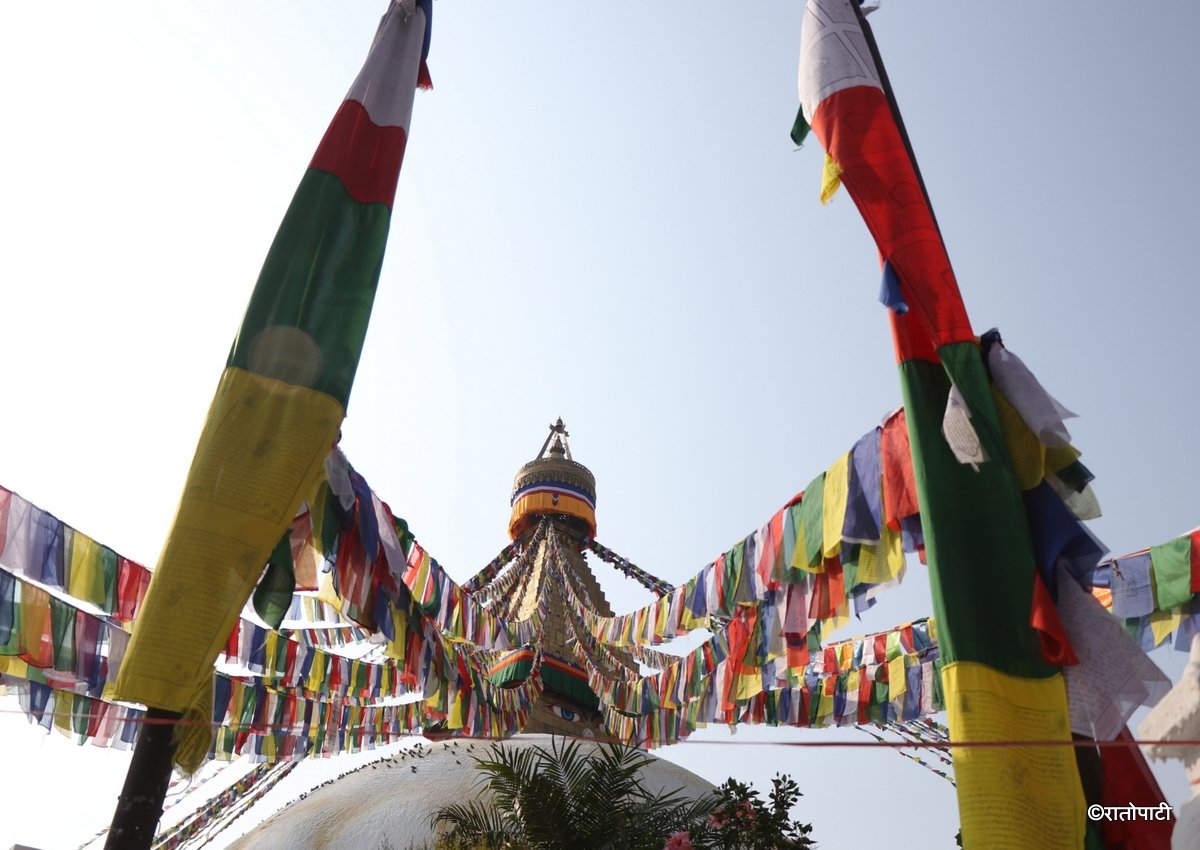 buddha purnima (15)