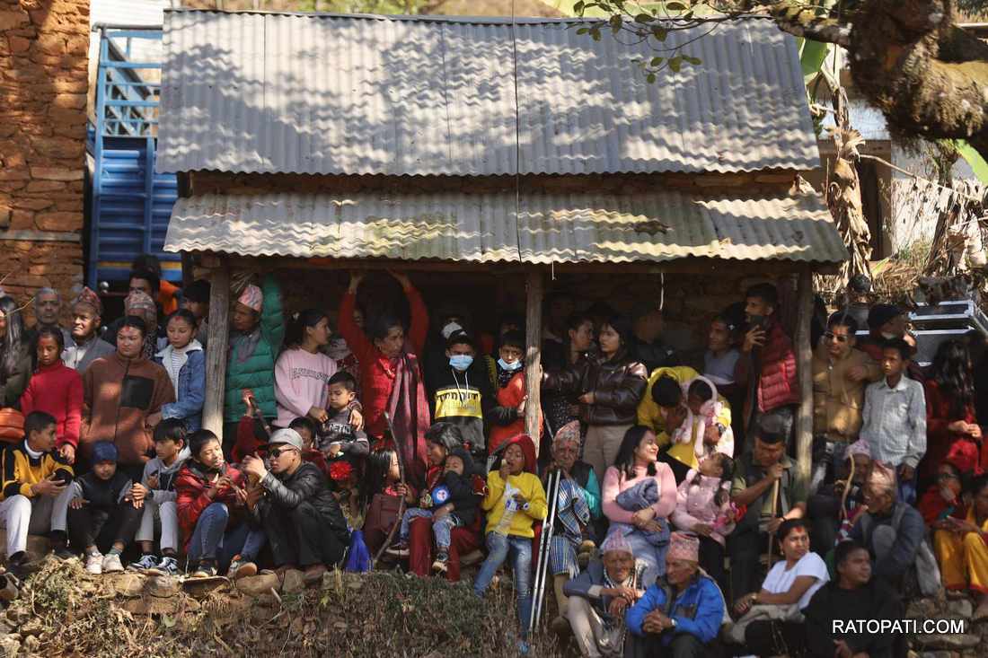 bull fight nuwakot (16)