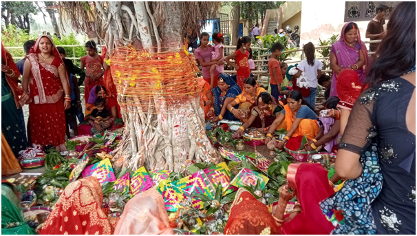 मिथिलाञ्चलमा आज वटसावित्री पर्व मनाइँदै