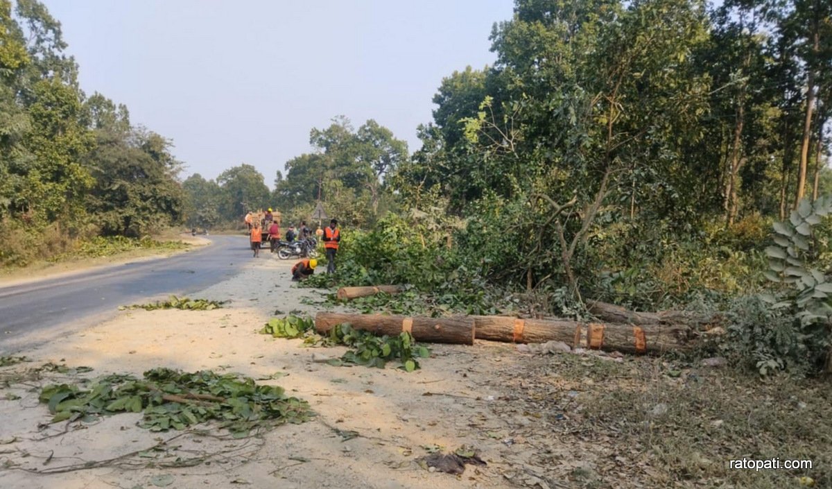 butwal road (9)