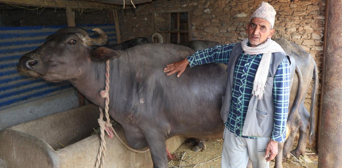 दूध र मह बिक्रीबाट मनग्य आम्दानी