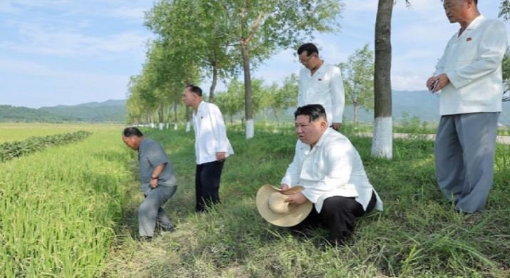 North Korea Intensifies Dry Field Rice Cultivation Amid Drought Concerns