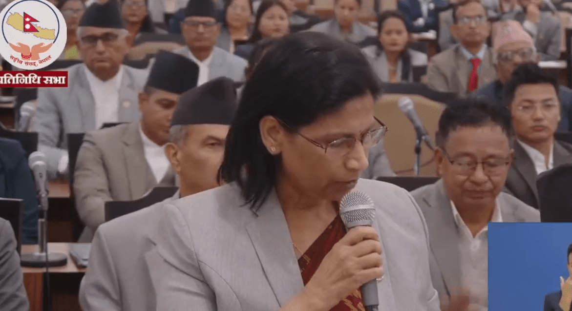   ‘नयाँ सोच भनेको संसद्लाई पन्छाएर कार्यपालिकाले स्वेच्छाचारिता लाद्ने प्रयास हो’