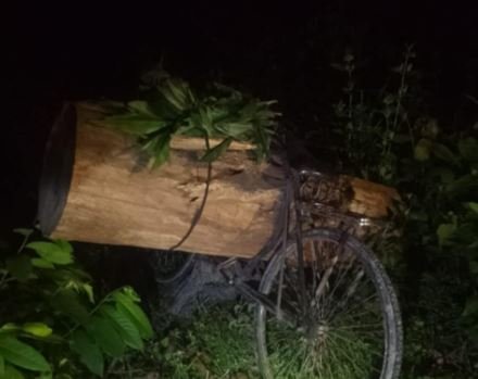 विन्दवासिनी कोइलाभार साझेदारी वनबाट ४ थान गोलिया बरामद