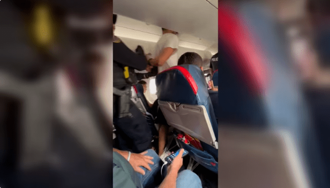   उडिरहेको विमानको ढोका यात्रुले जबरजस्ती खोल्न खोजेपछि....