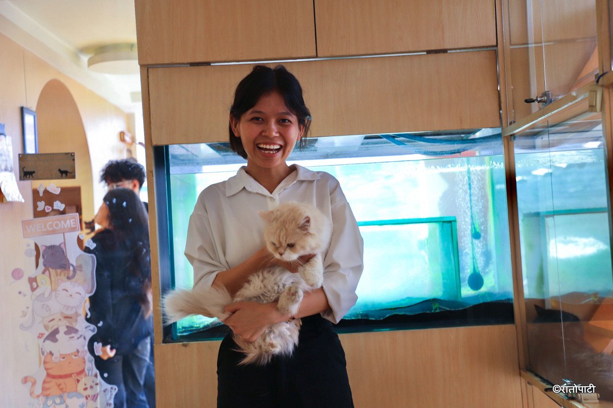 Cat cafe_NPL14
