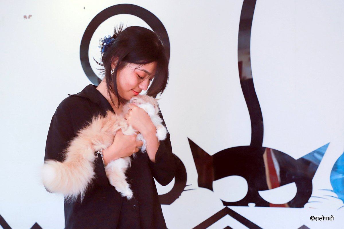 Cat cafe_NPL3