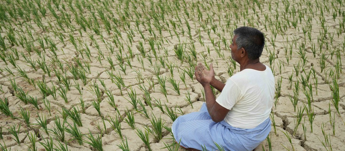   मधेसमा ४७ प्रतिशत मात्र रोपाइँ, यस्तो छ महोत्तरीको अवस्था (तस्बिरहरू)