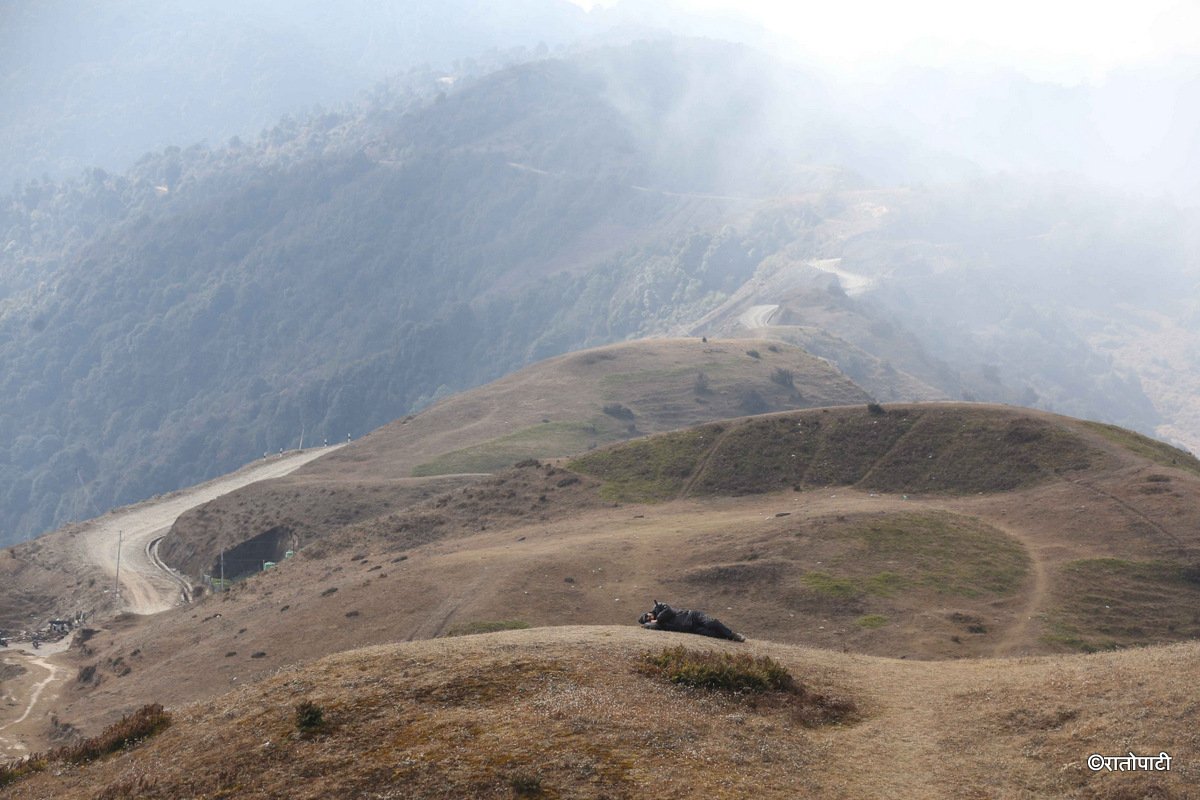 chakawa danda (5)