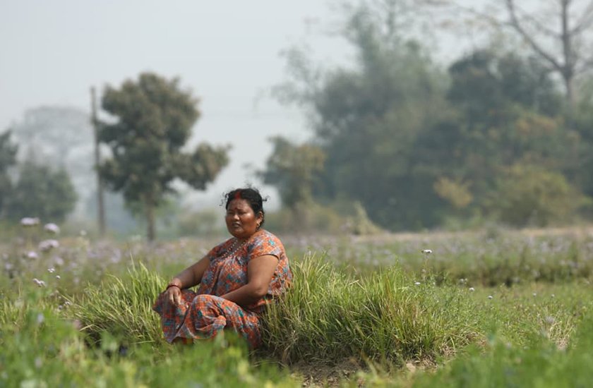 Chaudhari Nawalparasi