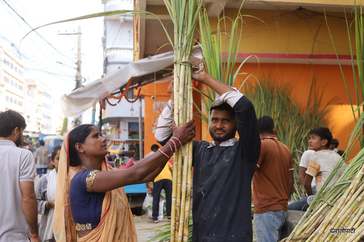 chhath (26)