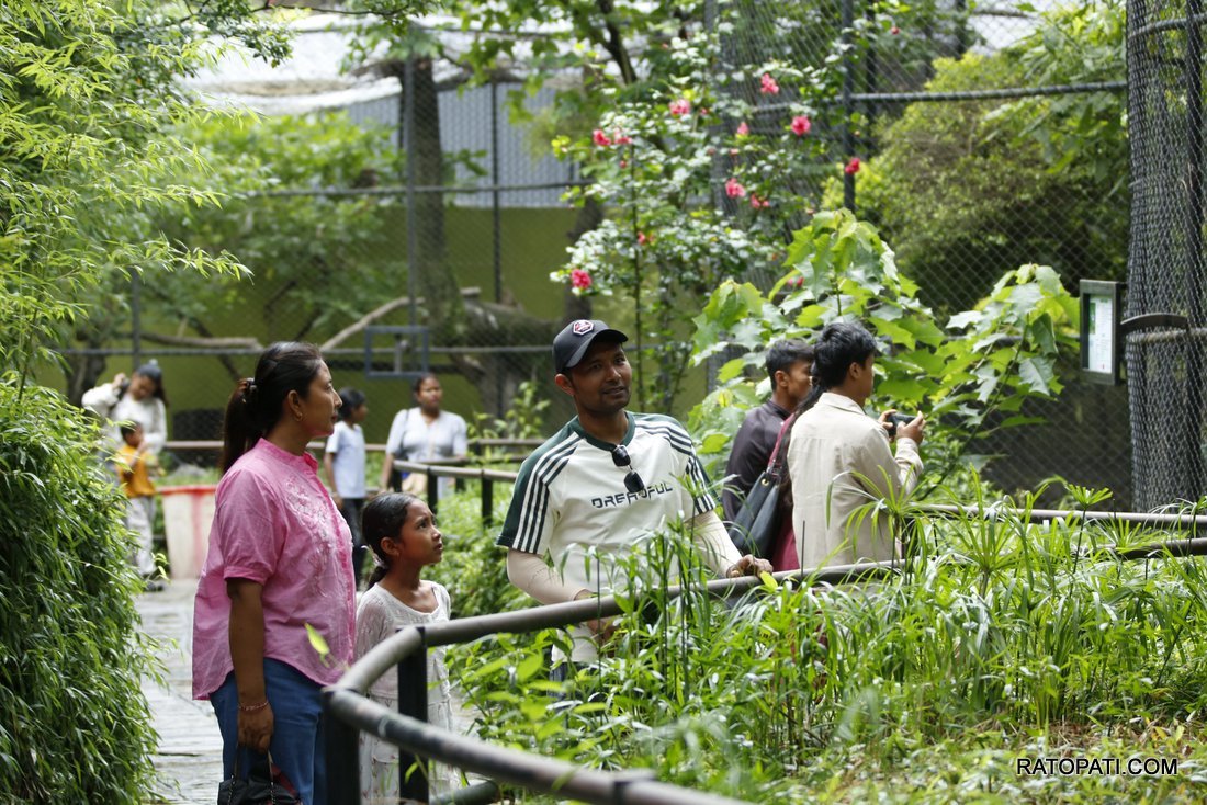 chidiyakhana zoo (14)