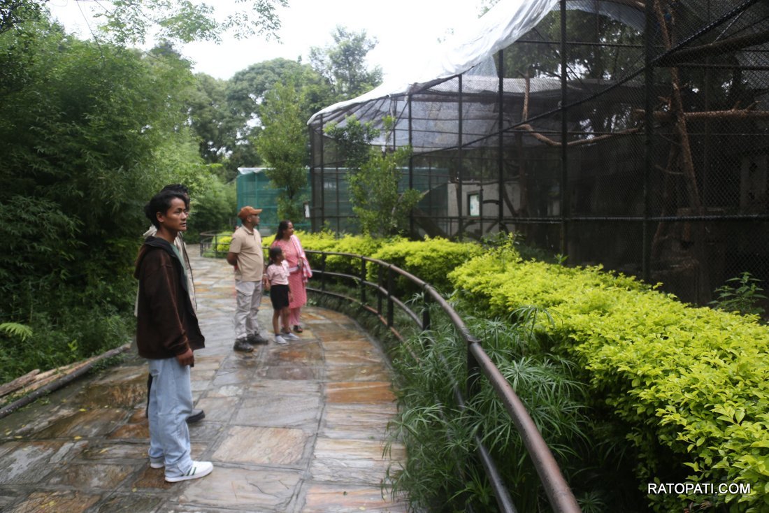 chidiyakhana zoo (18)