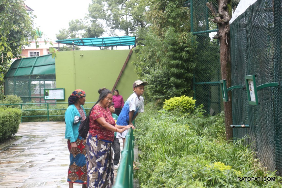 chidiyakhana zoo (20)