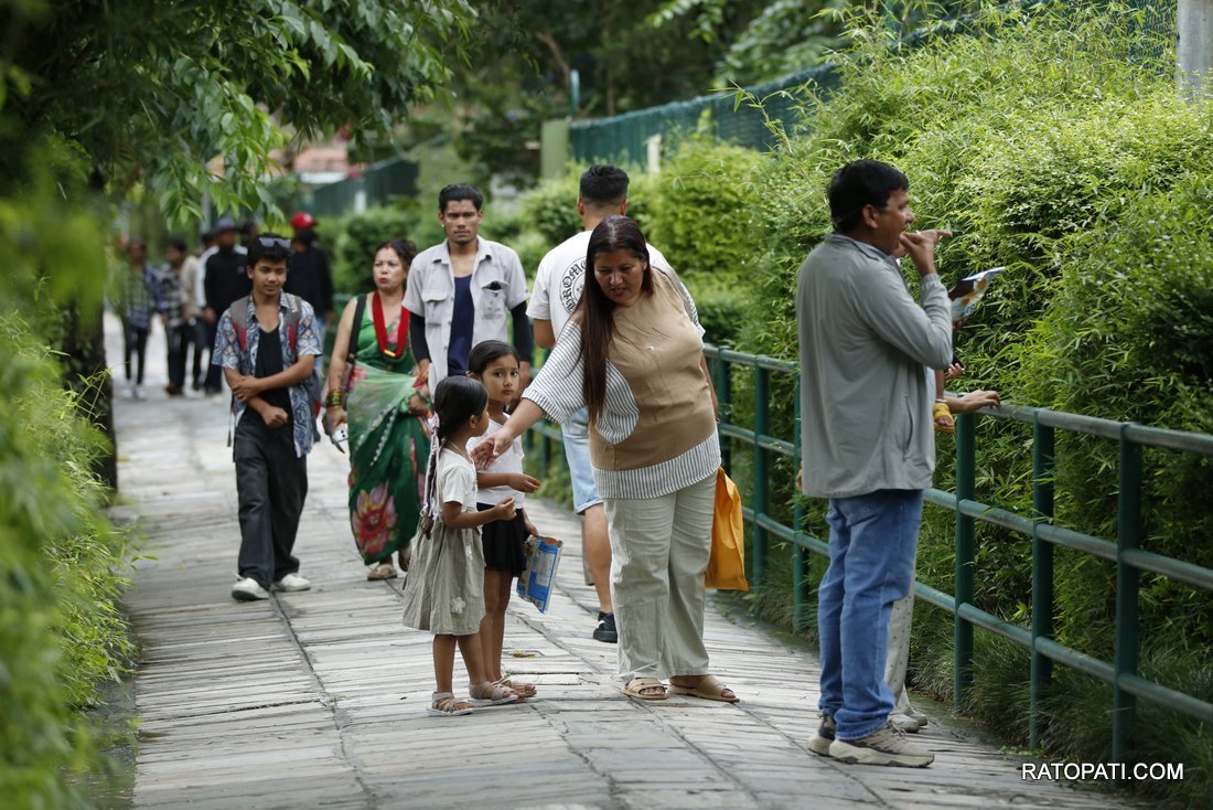 chidiyakhana zoo (21)
