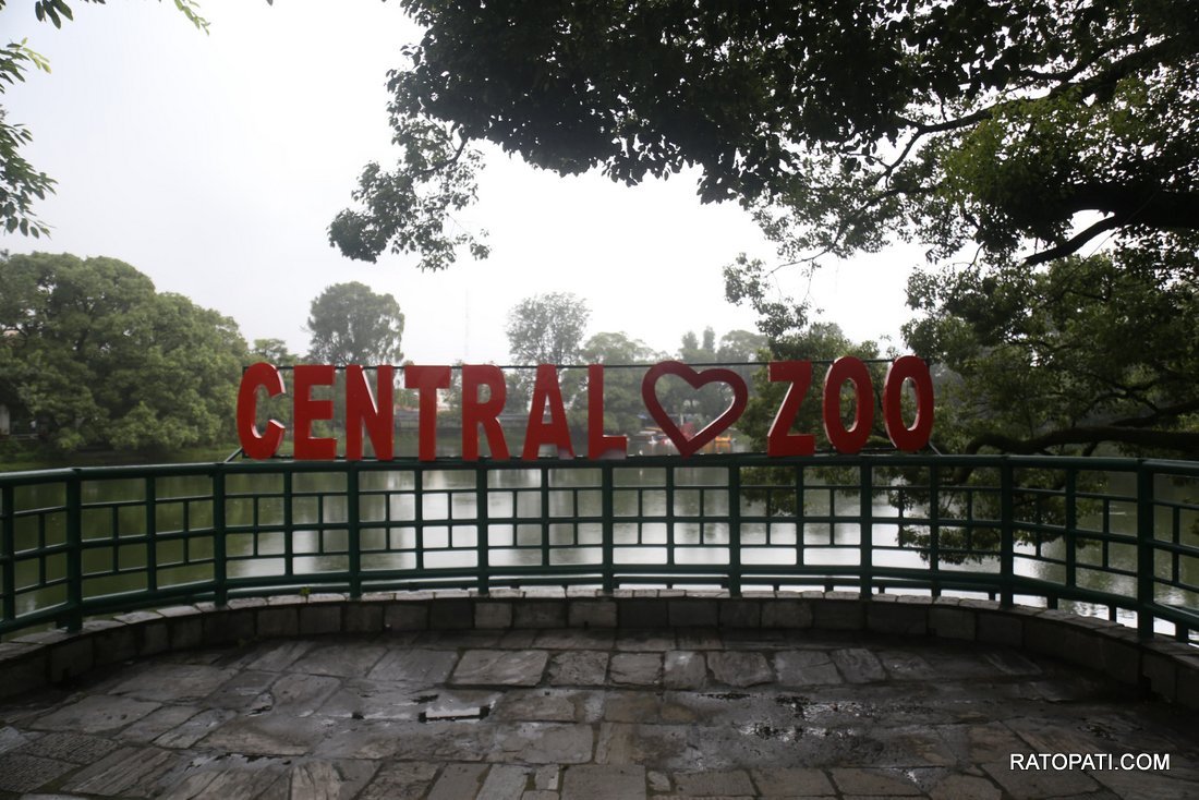 chidiyakhana zoo (4)