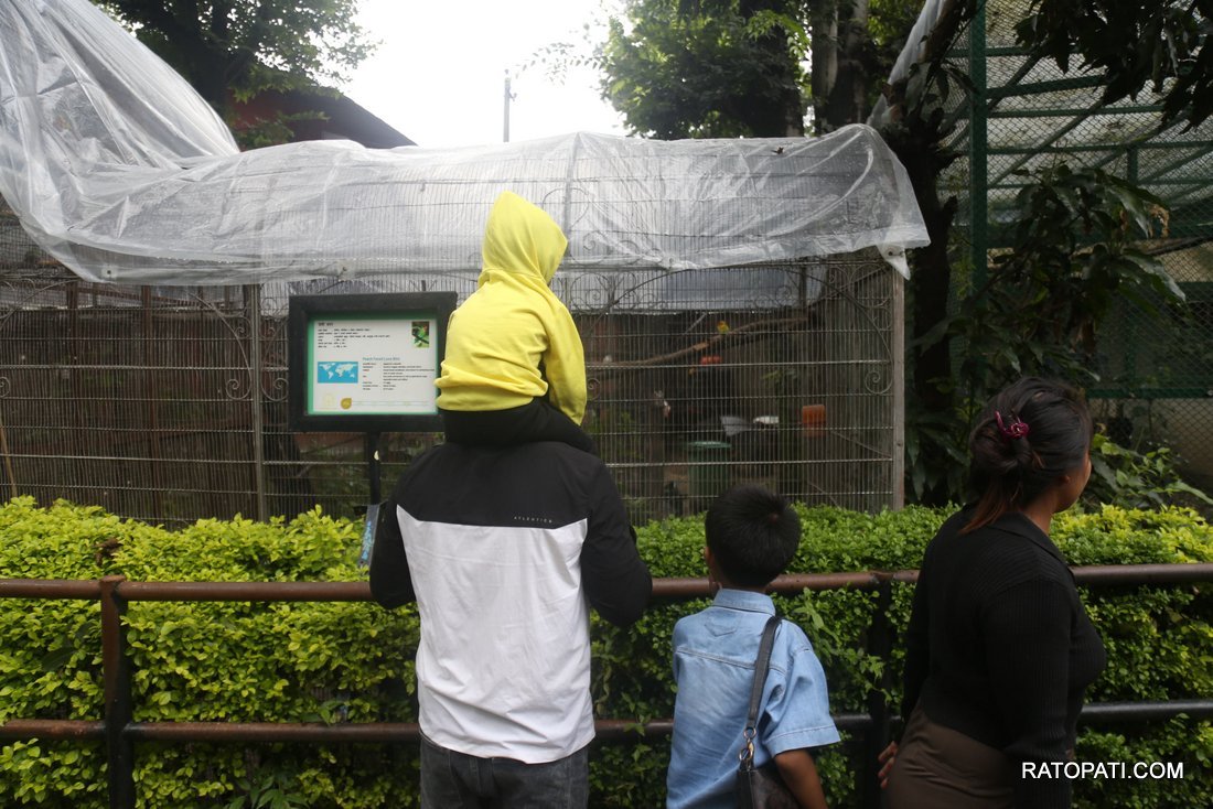 chidiyakhana zoo (5)