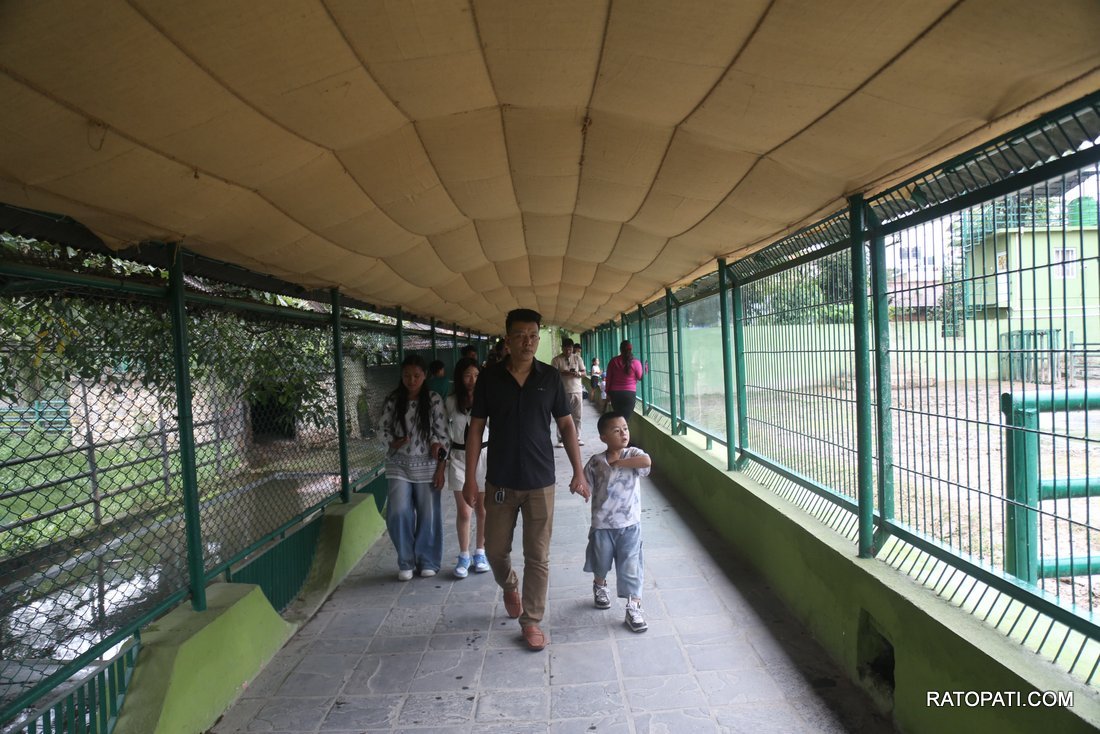chidiyakhana zoo (6)