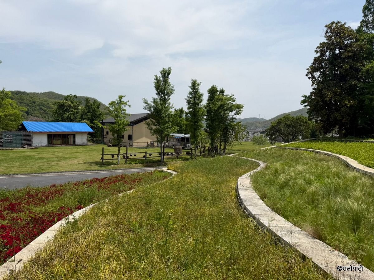 china anji county (2)