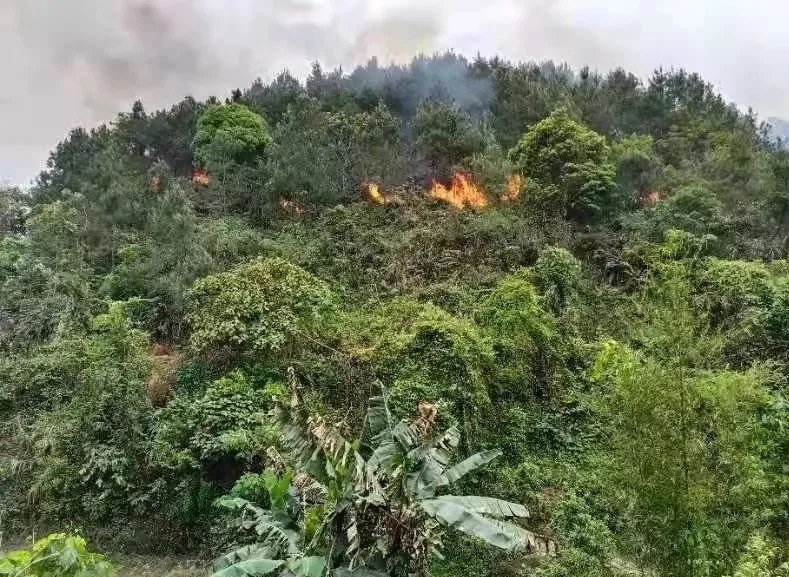 उडान डेटा भन्छ– १३२ जनाको ज्यान गएको हवाई दुर्घटना जानाजान गराइएको थियो