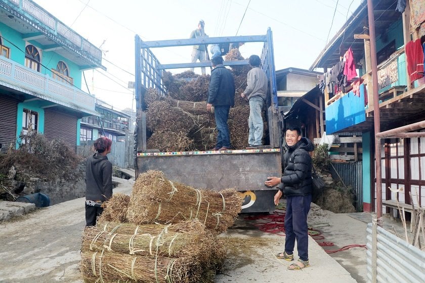 चिराइतोको मूल्य बढ्दो, उत्पादन घट्दो