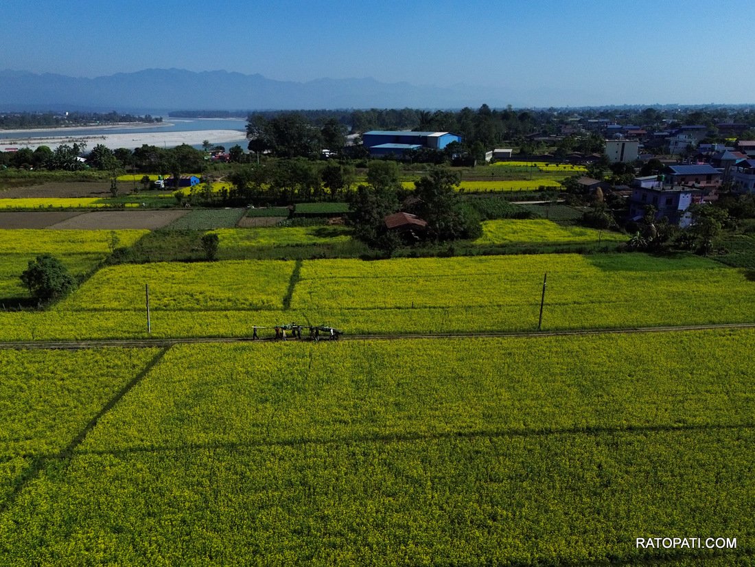 Chitwan_ Tori Bali_-1098