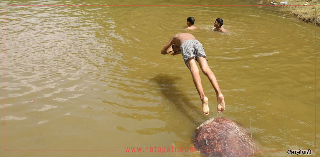 गर्मी छल्न चोभारमा डुबुल्की, तस्बिरहरू
