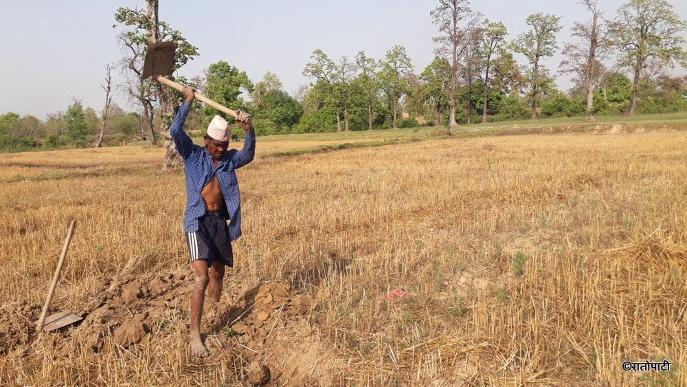 chotkanu chaudhari rat hunter