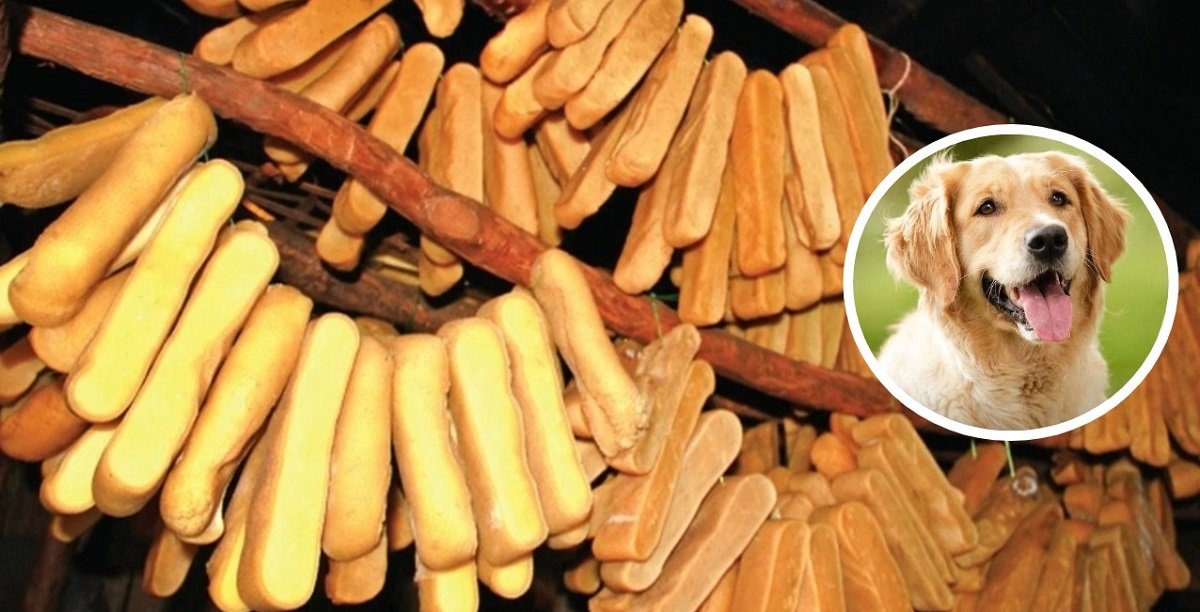 Nepal's Churpi Becomes Major Export Item, Government Unveils Strategic Plan