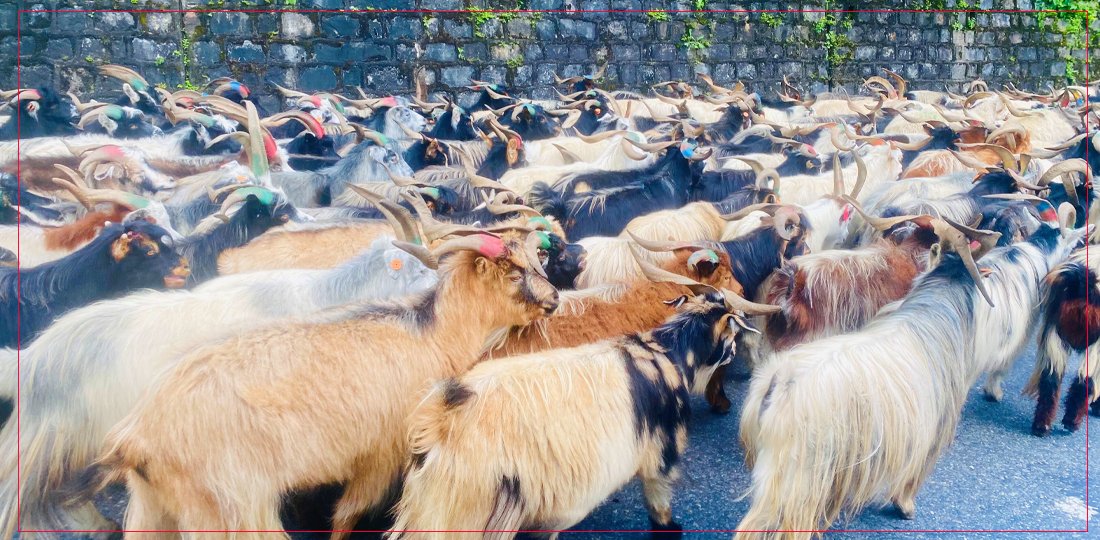 लेकका च्याङ्ग्रा सहरमा