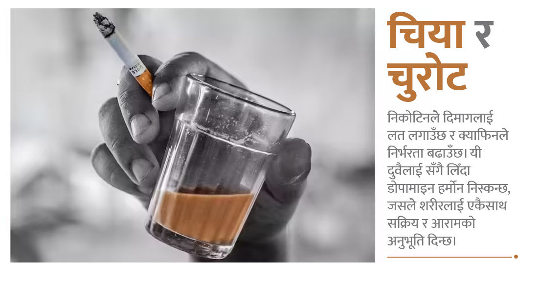   चिया र चुरोटको घातक जोडी