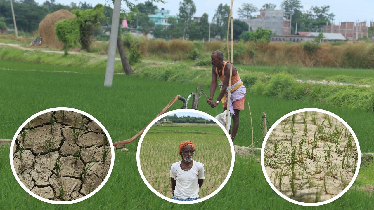   बोरिङमा पनि छैन पानी, खेतमा चिरा परेसँगै छियाछिया छ किसानको मन