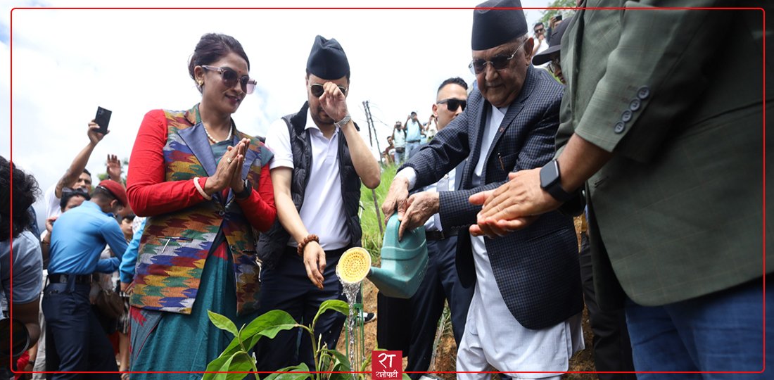   तस्बिरमा हेर्नुहोस् युवा संघको एक महिने वृक्षरोपण अभियान उद्घाटन