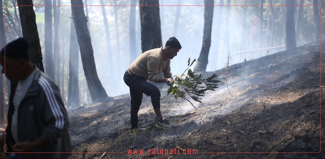 गोदावरी क्षेत्रमा लागेको डढेलो नियन्त्रण गर्न जुटे स्थानीयवासी (तस्बिरहरू)