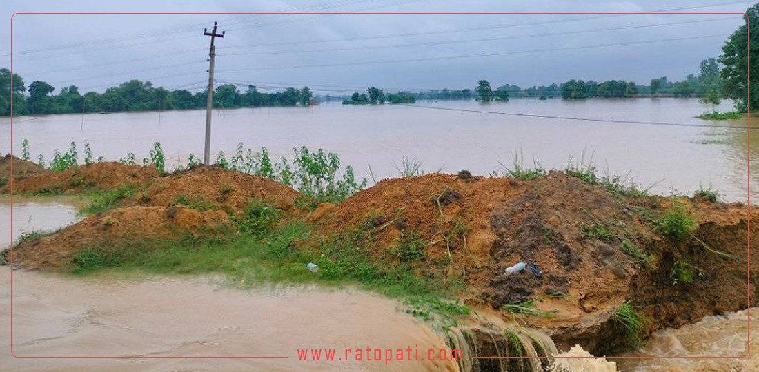 कैलालीमा एक सय बढी घर डुबानमा