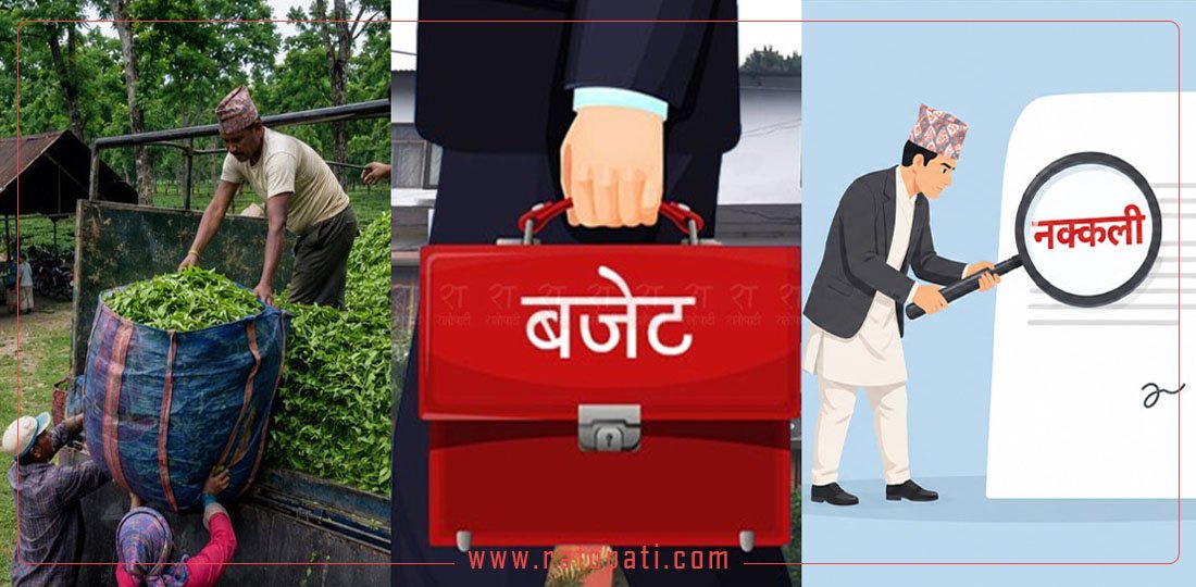 १० बजे १० समाचार : ‘प्रदेश सरकारहरूको बजेट’देखि ‘११४ जनाको शैक्षिक प्रमाणपत्रमाथि एक साथ छानबिन’सम्म