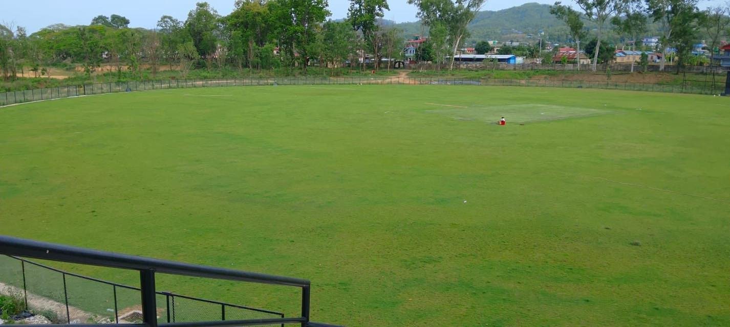cricket (4)