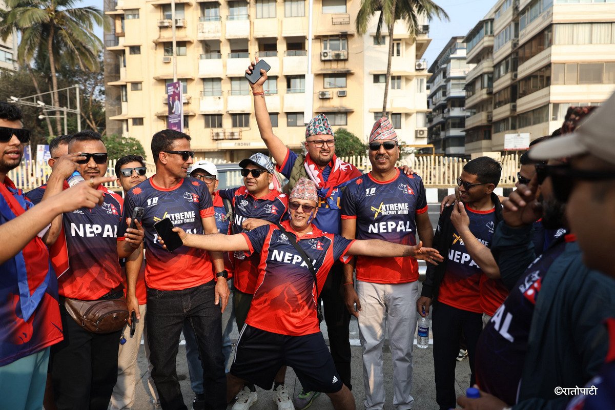 cricket fan (1)