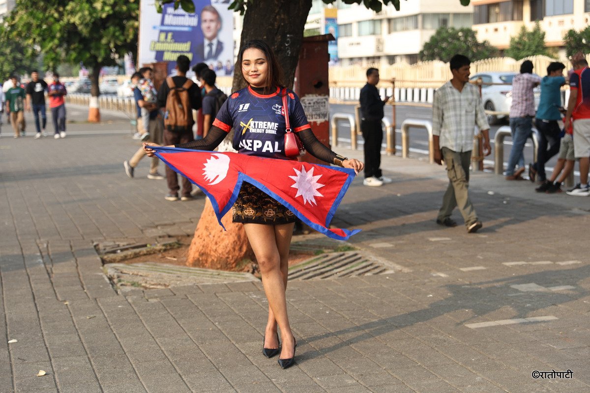 cricket fan (11)