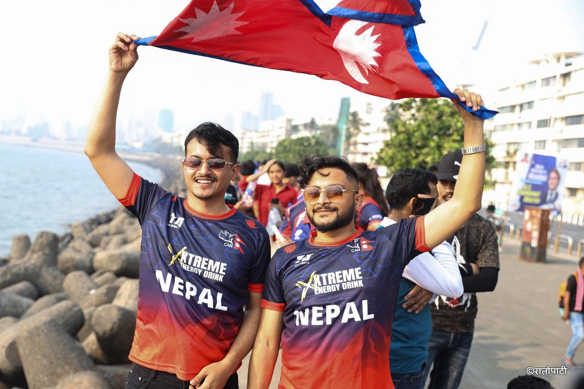 cricket fan (2)