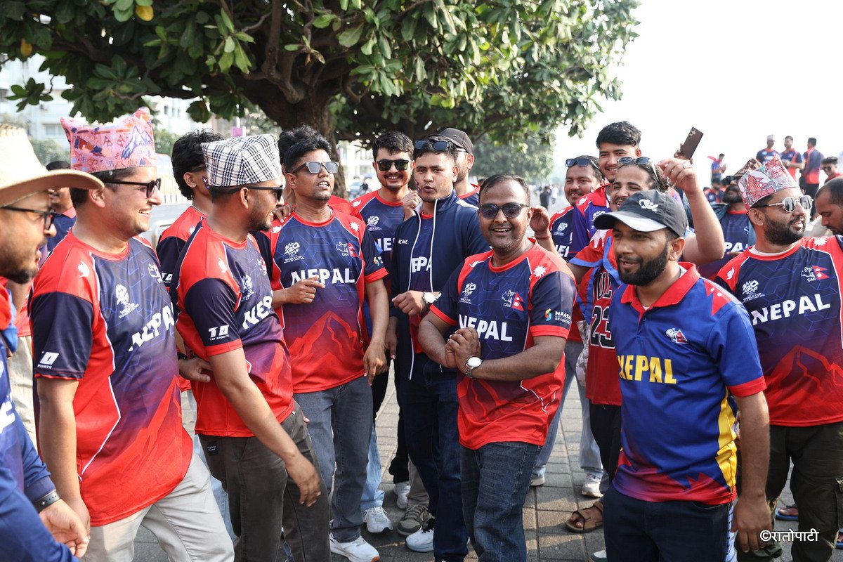 cricket fan (3)