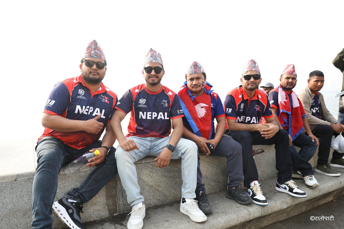 cricket fan (4)