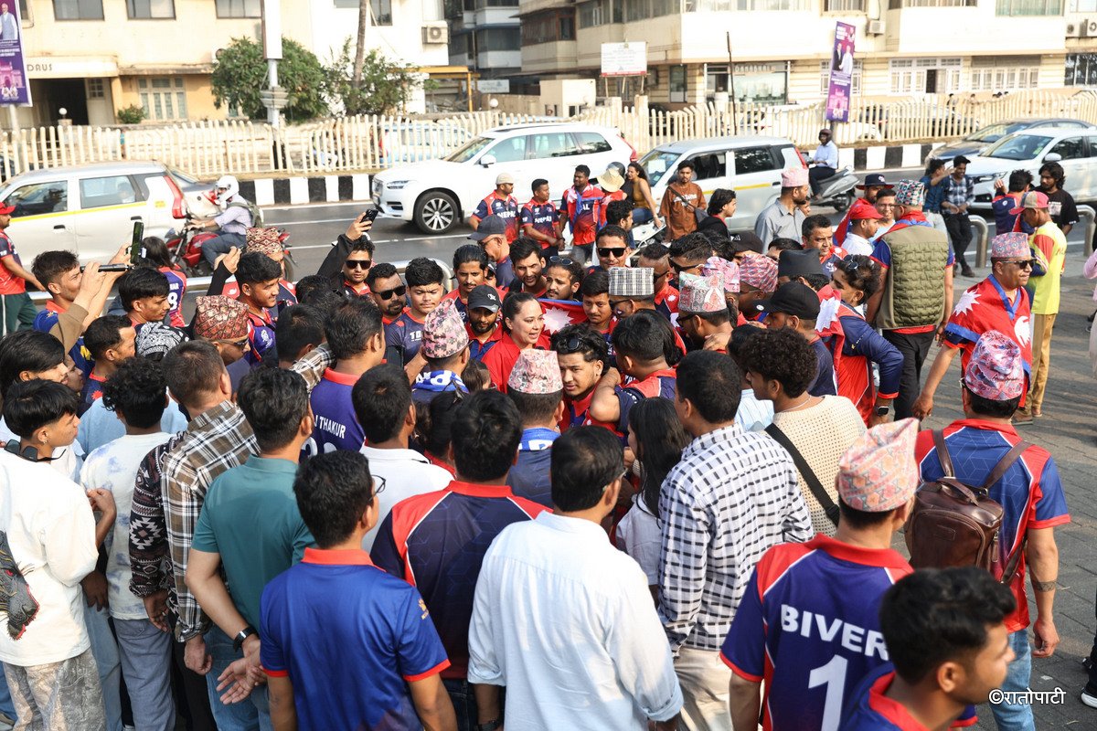 cricket fan (5)