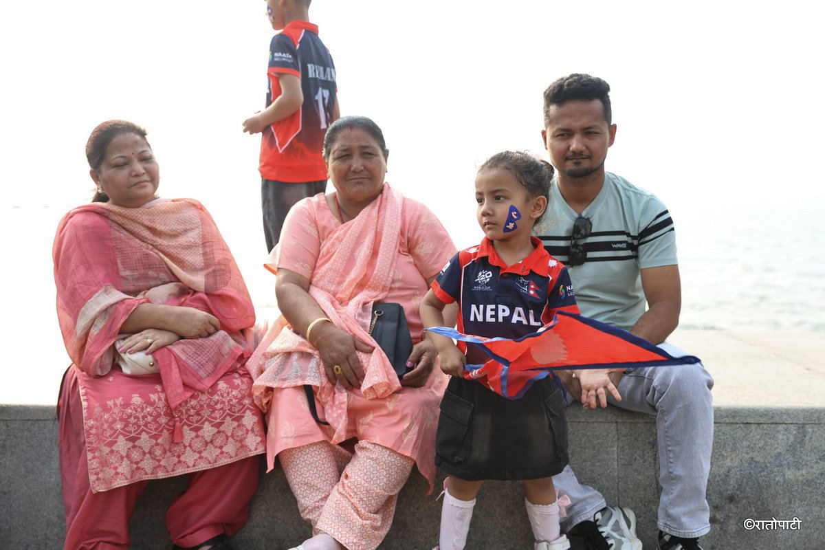 cricket fan (6)