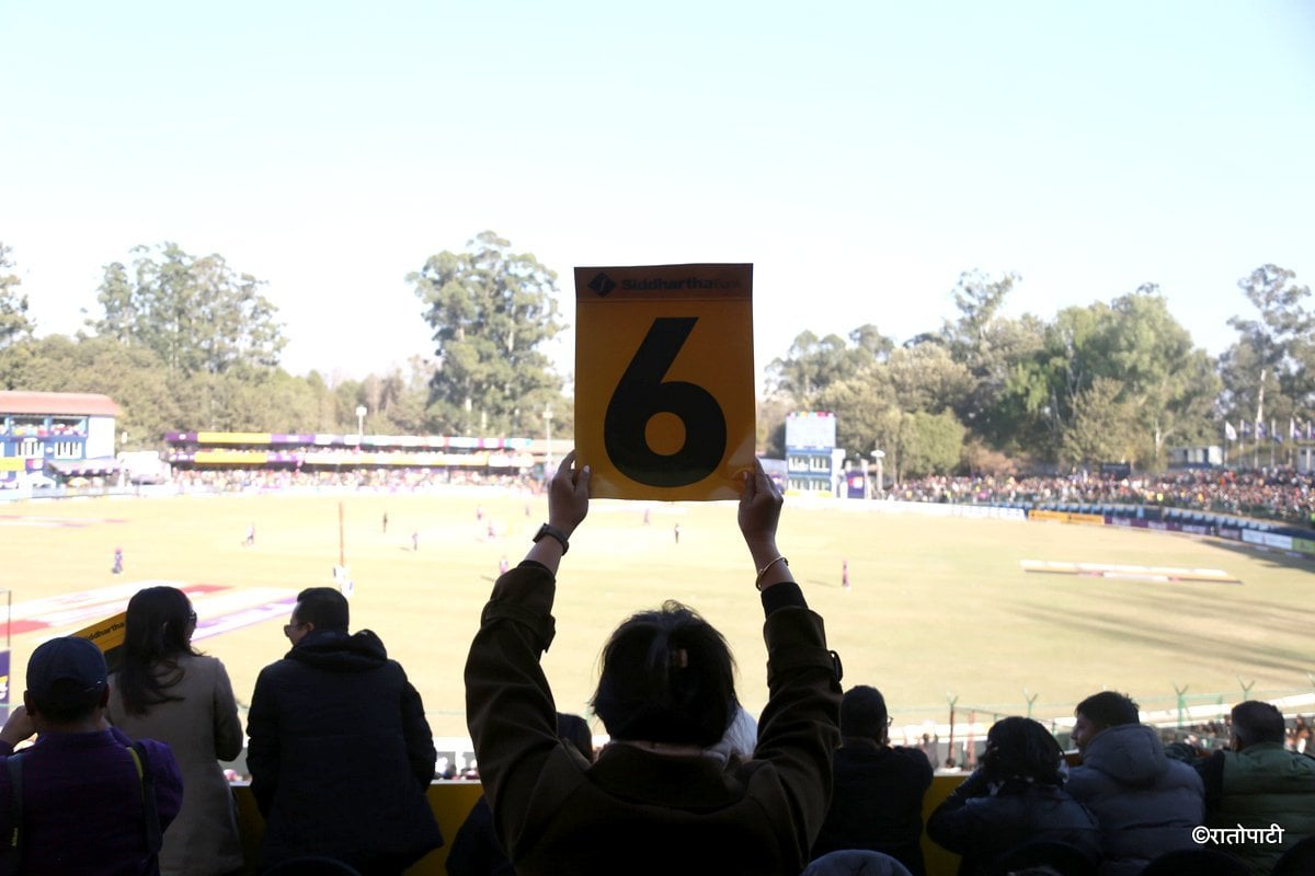 cricket fan (6)